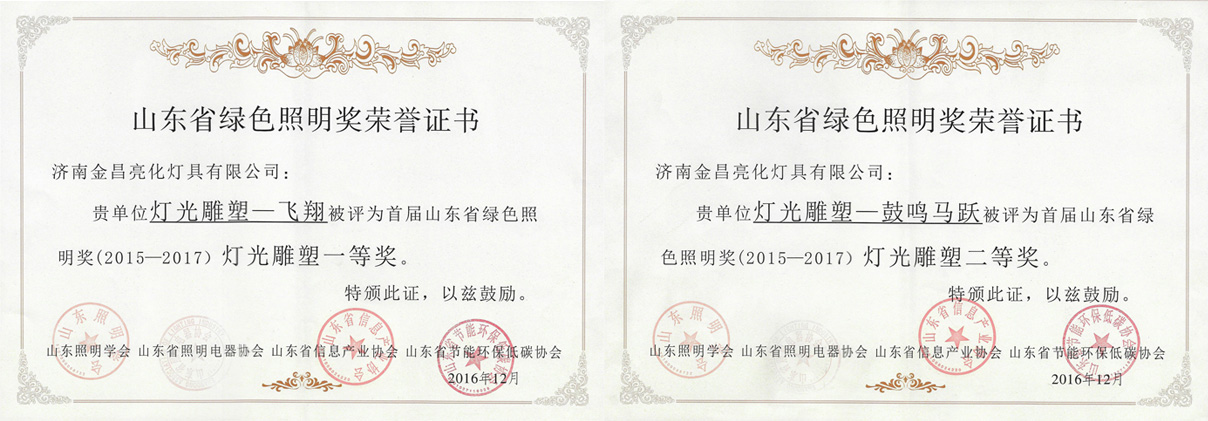 我公司創(chuàng)意的燈光雕塑作品榮獲首屆山東省綠色照明獎(jiǎng)(圖1)