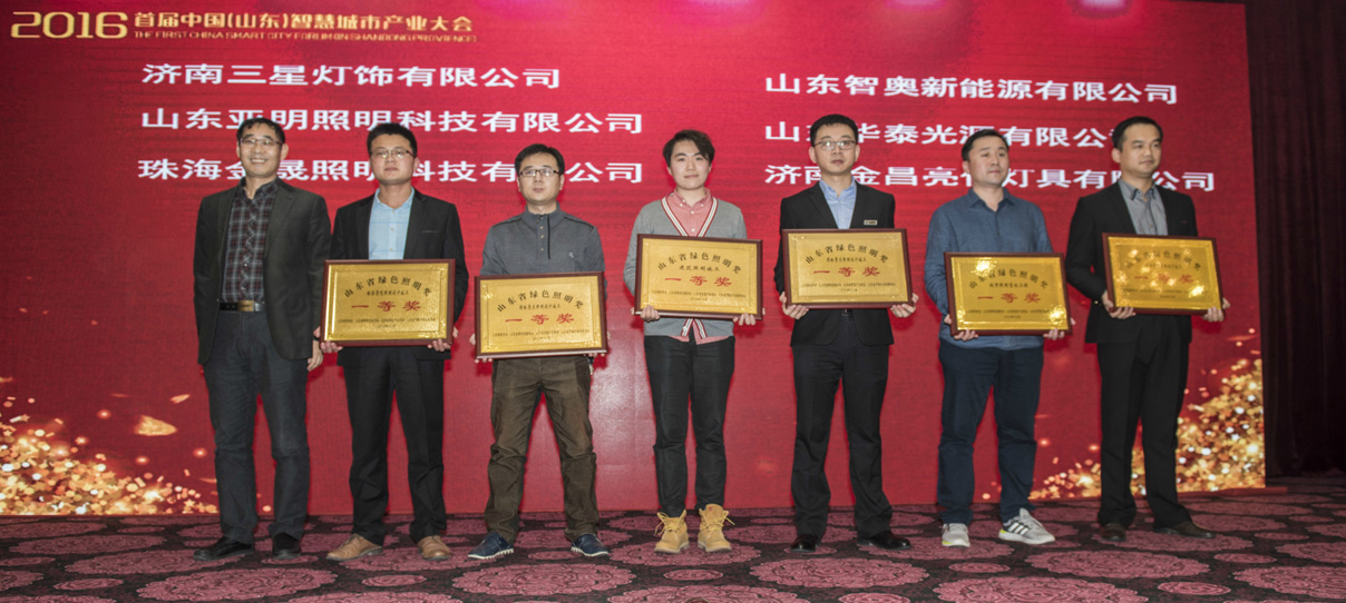 我公司創(chuàng)意的燈光雕塑作品榮獲首屆山東省綠色照明獎(jiǎng)(圖2)